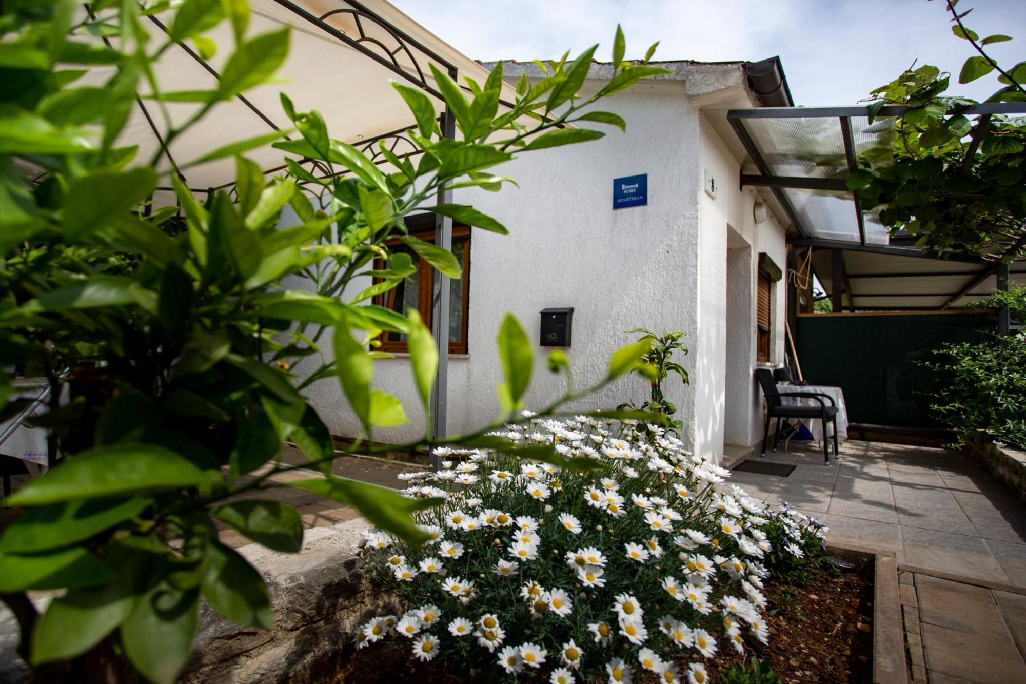 Apartments Ina & Ika Rovinj Exterior foto
